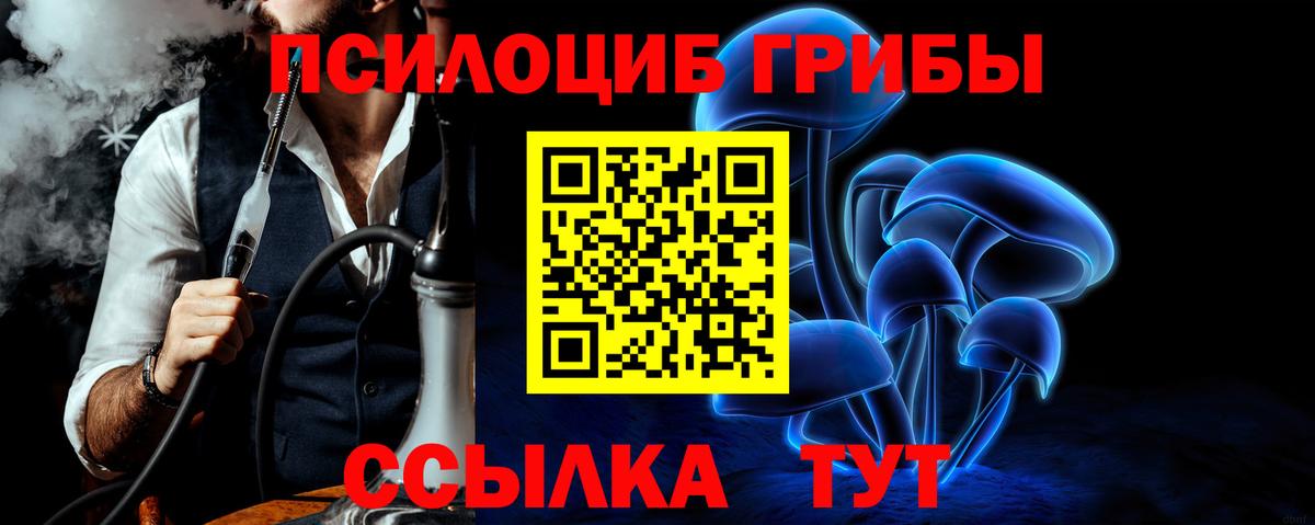 Галлюциногенные грибы прущие грибы Осинники